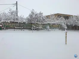 مدرسه دولتی پسرانه متوسطه اول گرجستانی، شهرک شهید باهنر، مشهد