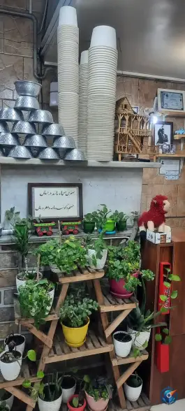 عکس طباخی کپل مپل، عظیمیه کرج 3