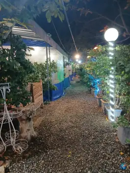 باغچه و جگرسرا پونه، دره فرحزاد تهران