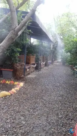 عکس باغچه و جگرسرا پونه، دره فرحزاد تهران 9