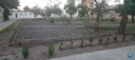 عکس مرکز آموزش عالی علمی کاربردی زعفران سحرخیز، بلوار پژوهش، محله فرودگاه مشهد 5