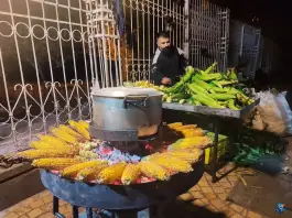 فست فود بلال ارم شیراز