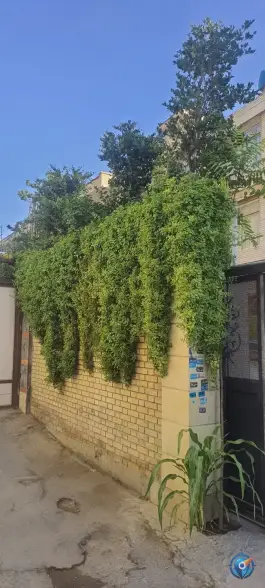 عکس هتل آپارتمان رویال، محله صورتگر، شیراز 8