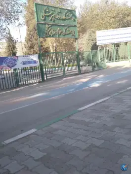 عکس دانشکده دندانپزشکی مشهد، محله دانشگاه 3
