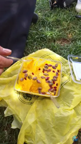 عکس رستوران خورش ماست تاج الملوک، محله مصلی اصفهان 2