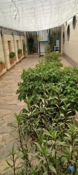 عکس استخر مهتاب، چهار باغ بالا، اصفهان 7