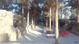 عکس پارک آبی صخره ای نشاط؛ بوستان شهرداری انار 3