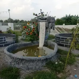 عکس کافه دورهمی؛ بیکاه رودان 3