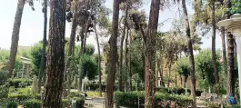 عکس دانشگاه خوارزمی تهران؛ محله امجدیه، خاقانی 5