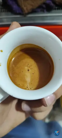 عکس کافی شاپ دورهمی خاش 2