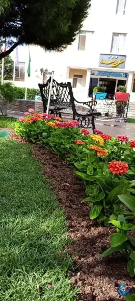 عکس هتل ملاصدرا، محله زند شیراز 2