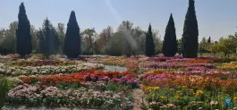 عکس پارکینگ باغ گیاهشناسی تهران 1