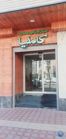 عکس مرکز جراحی محدود کاملیا در محله بدر اصفهان 4