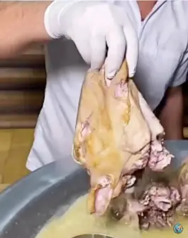 عکس طباخی کاج؛ طعم اصیل در دل حکیمیه تهران 2