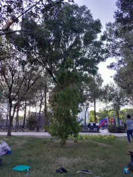 عکس بوستان امام رضا (ع) قم 4
