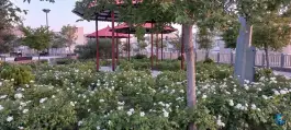 عکس بوستان طبقاتی شهید زین الدین، محله بنیاد قم 9