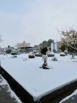 عکس دانشگاه آزاد اسلامی واحد اصفهان (خوراسگان)، ارغوانیه، اصفهان 7