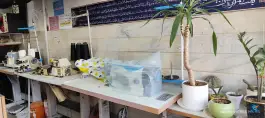 خیاط ایده آل؛ محله شیخ آباد قم