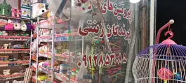 عکس بورس خوراک پرندگان غفاریان، محله سلاخ خانه، قم 5