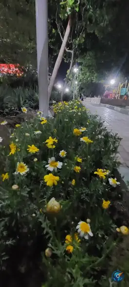 عکس بوستان تلاش، شهرک توانیر، قم 2