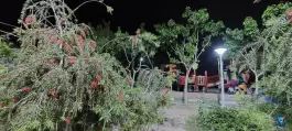 عکس بوستان تلاش، شهرک توانیر، قم 6