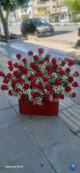 عکس گلفروشی آرالیا، بلوار توحید، قم 3