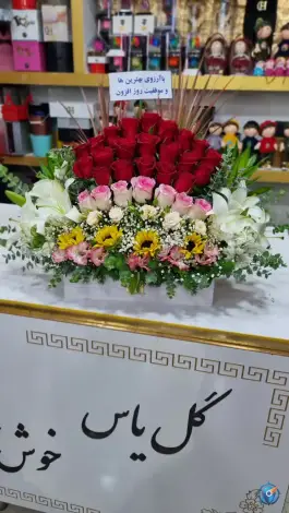عکس گلفروشی آرالیا، بلوار توحید، قم 5