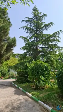 عکس هتل گلستان امام رضا (ع) مشهد 6