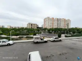 عکس بوستان ارکیده؛ شاه سید علی، قم 3