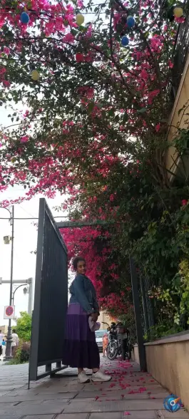 عکس رستوران صوفی، محله ستارخان شیراز 10