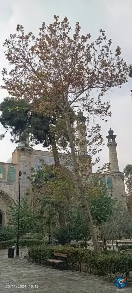عکس مدرسه عالی و دانشگاه شهید مطهری، محله ایران، تهران 6