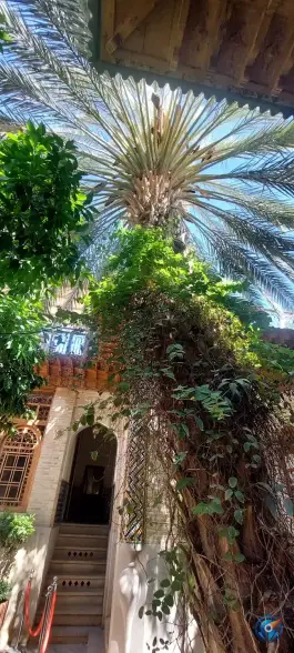 بوتیک هتل ایران مهر در شیراز طالقانی وکیل