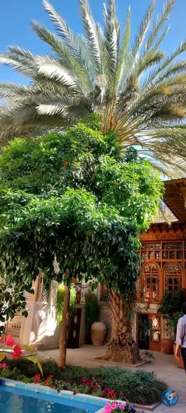 عکس بوتیک هتل ایران مهر در شیراز طالقانی وکیل 9