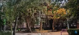 عکس بوستان بانوان حضرت نجمه، دورشهر قم 3