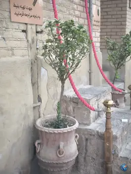 عکس خانه تاریخی نصیریان؛ محله سراب مشهد 3