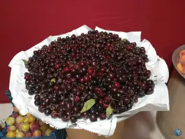 عکس های میوه فروشی پاشایی، بهارستان کرج