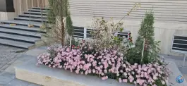 عکس های مرکز جراحی بی بی خاور اردکان