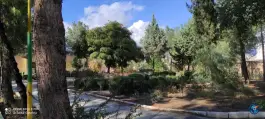 عکس دانشکده پرستاری کاشمر، محله فیض آباد 10
