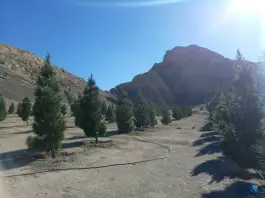 عکس بوستان کوهستانی مرجعیت قم 2