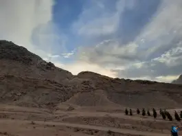 عکس بوستان کوهستانی مرجعیت قم 6