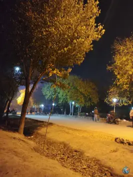 پارکینگ پارک جنگلی ناژوان، اصفهان