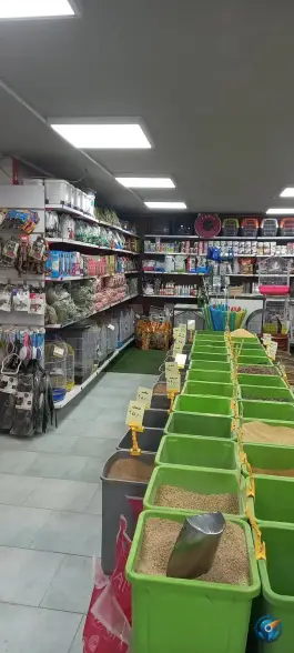 عکس پخش دان پرندگان و پت شاپ فراز، شهید بهشتی کرج 9