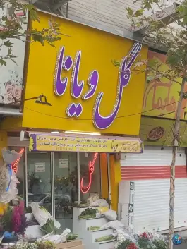 گلفروشی ویانا، بلوار طالقانی شمالی، کرج