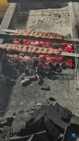 عکس جگرکی یاشار، باغ آذری، تهران 3