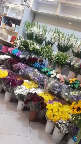 عکس گل فروشی قصرگل، محله تولید دارو و یخچال، قم 2