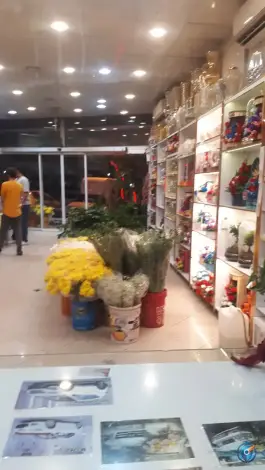 عکس گل فروشی قصرگل، محله تولید دارو و یخچال، قم 3