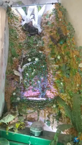 عکس دفتر ازدواج ۶۰ قم، امامزاده ابراهیم، چهارراه 10