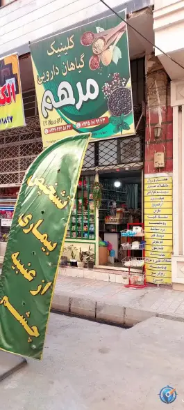 عکس گیاهان دارویی مرهم، خرمدشت، کرج 2