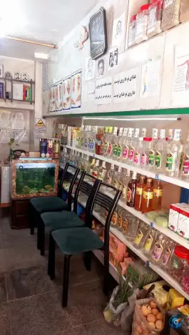 عکس گیاهان دارویی مرهم، خرمدشت، کرج 3