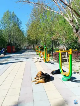عکس پارک مکعب؛ نگین سبز محله مهرشهر کرج 5